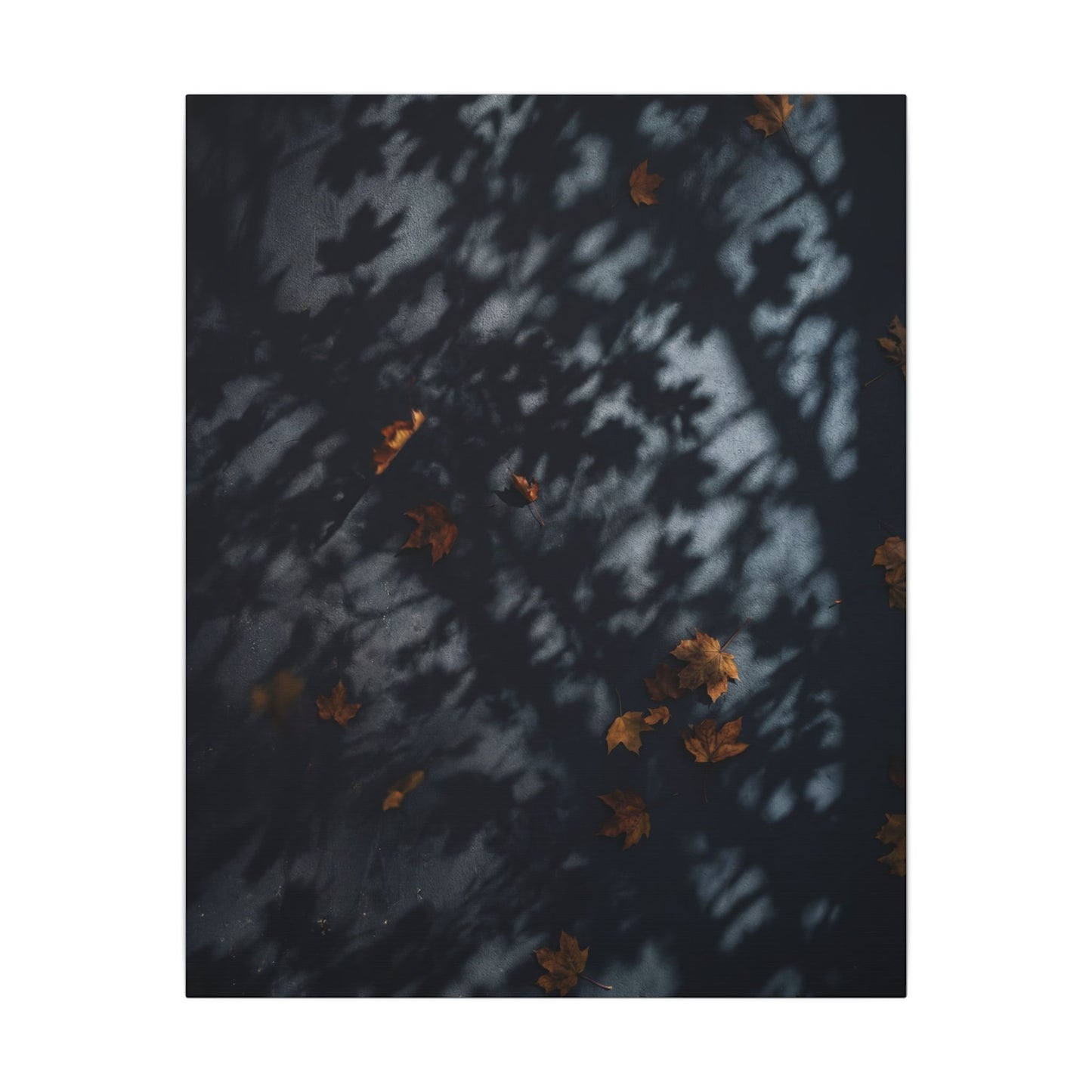 Autumn Shadow Play Shadow Zen Canvas Art | Atmospheric Decor