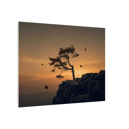 Dark Japandi Pine Tree in Golden Hour | Moody Minimal Canvas Art