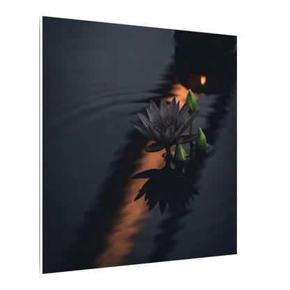 Seijaku Lotus Flower Canvas Art - Dark Japandi Shadow Zen