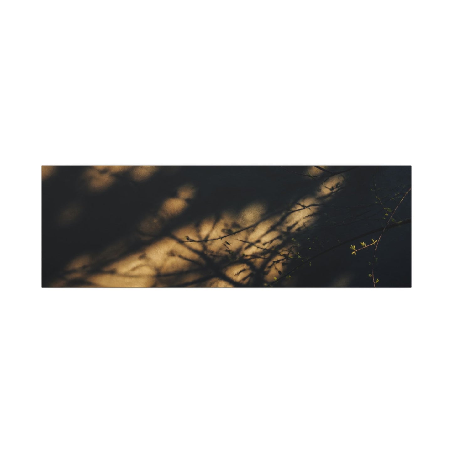 Moody Shadow Play Canvas Art - Moody Minimal Dark Japandi