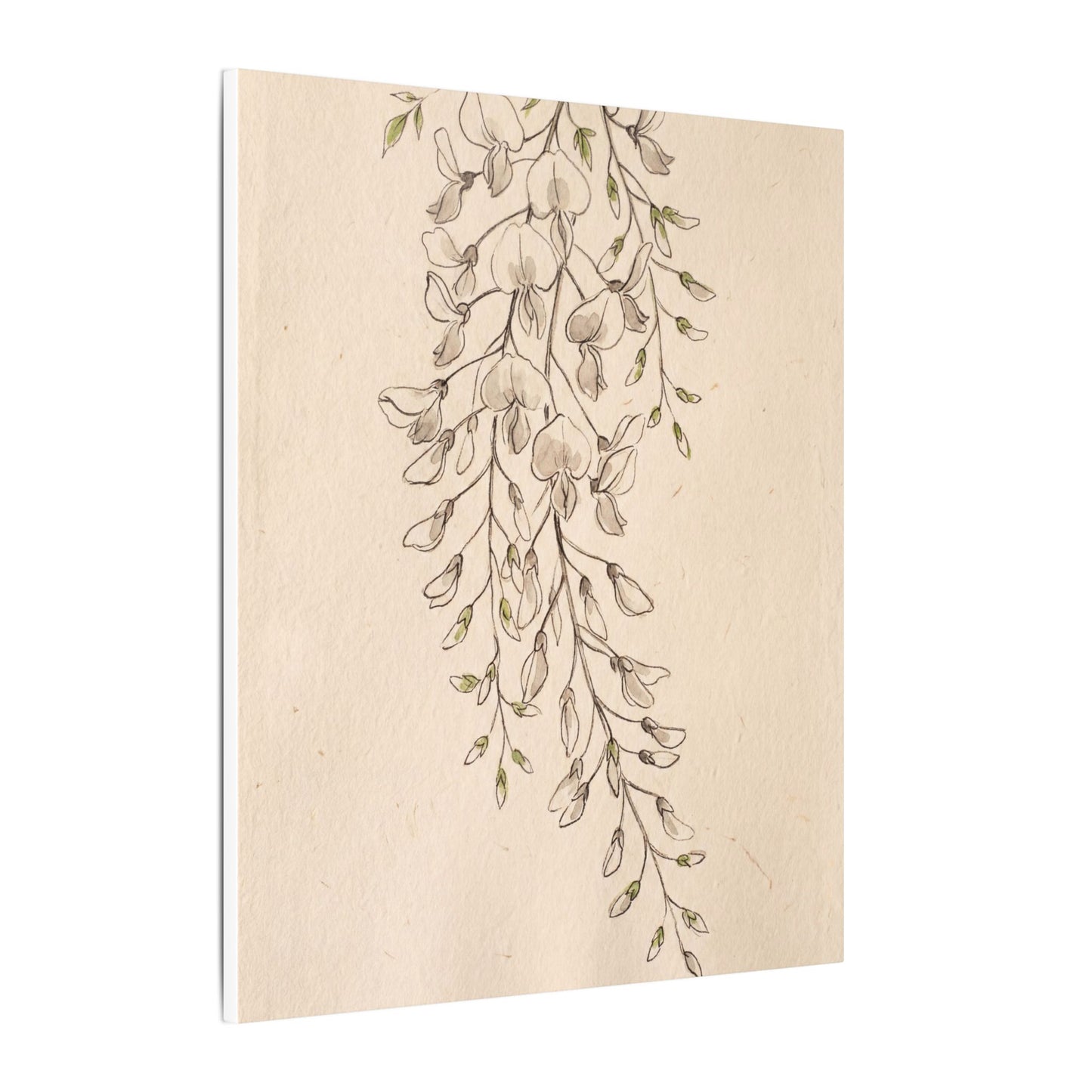 Japandi Wisteria in Golden Hour | Minimal Line Canvas Art
