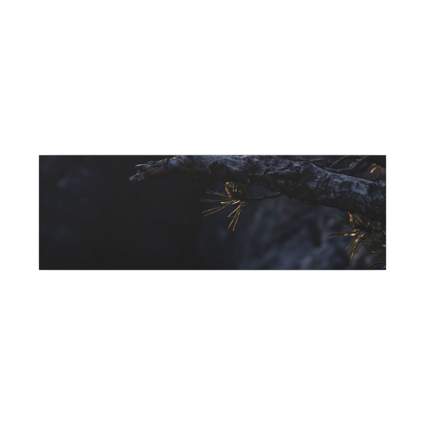 Pine Tree Moody Minimal Canvas Art | Sophisticated Dark Japandi Art