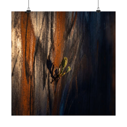 Rust Patina Spring Wall Art Print | Dark Japandi Sophisticated Design