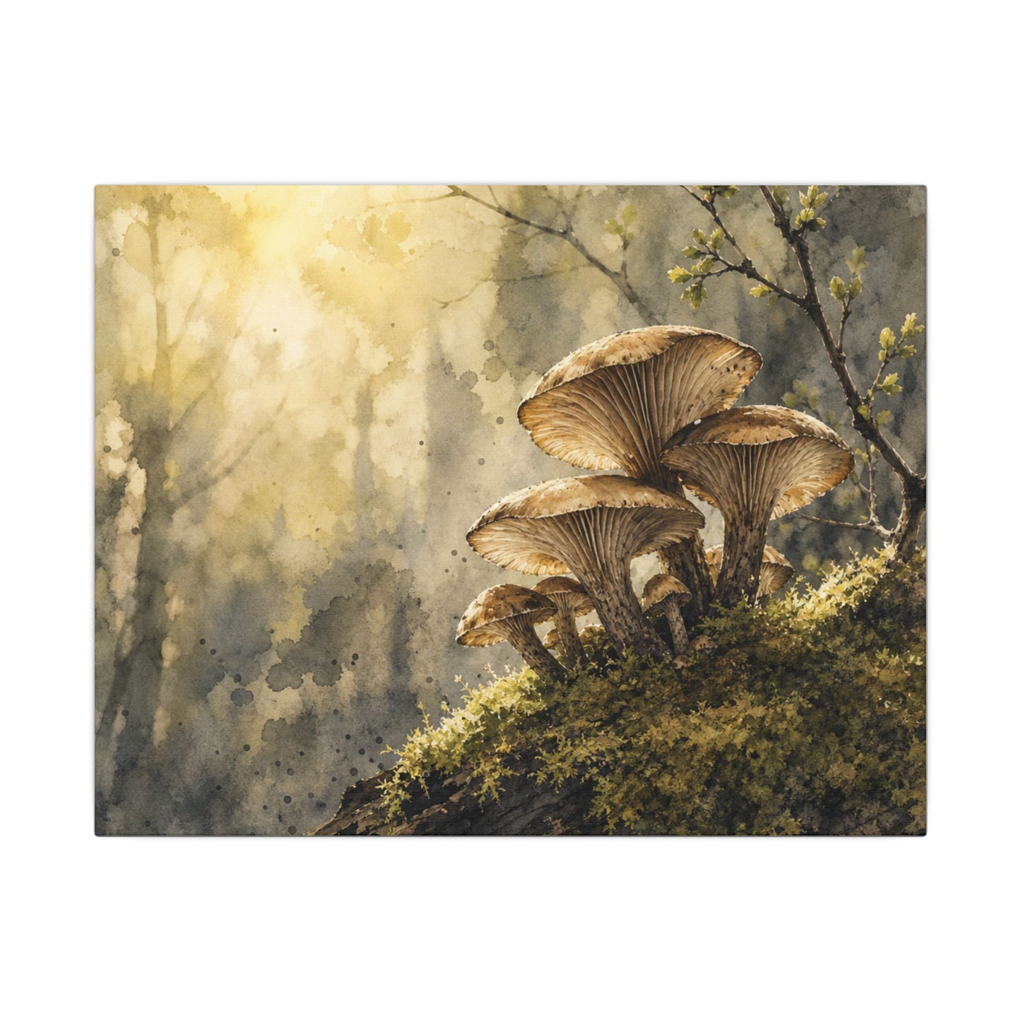 Wild Mushrooms Canvas Art | Spring Japandi Watercolor Art