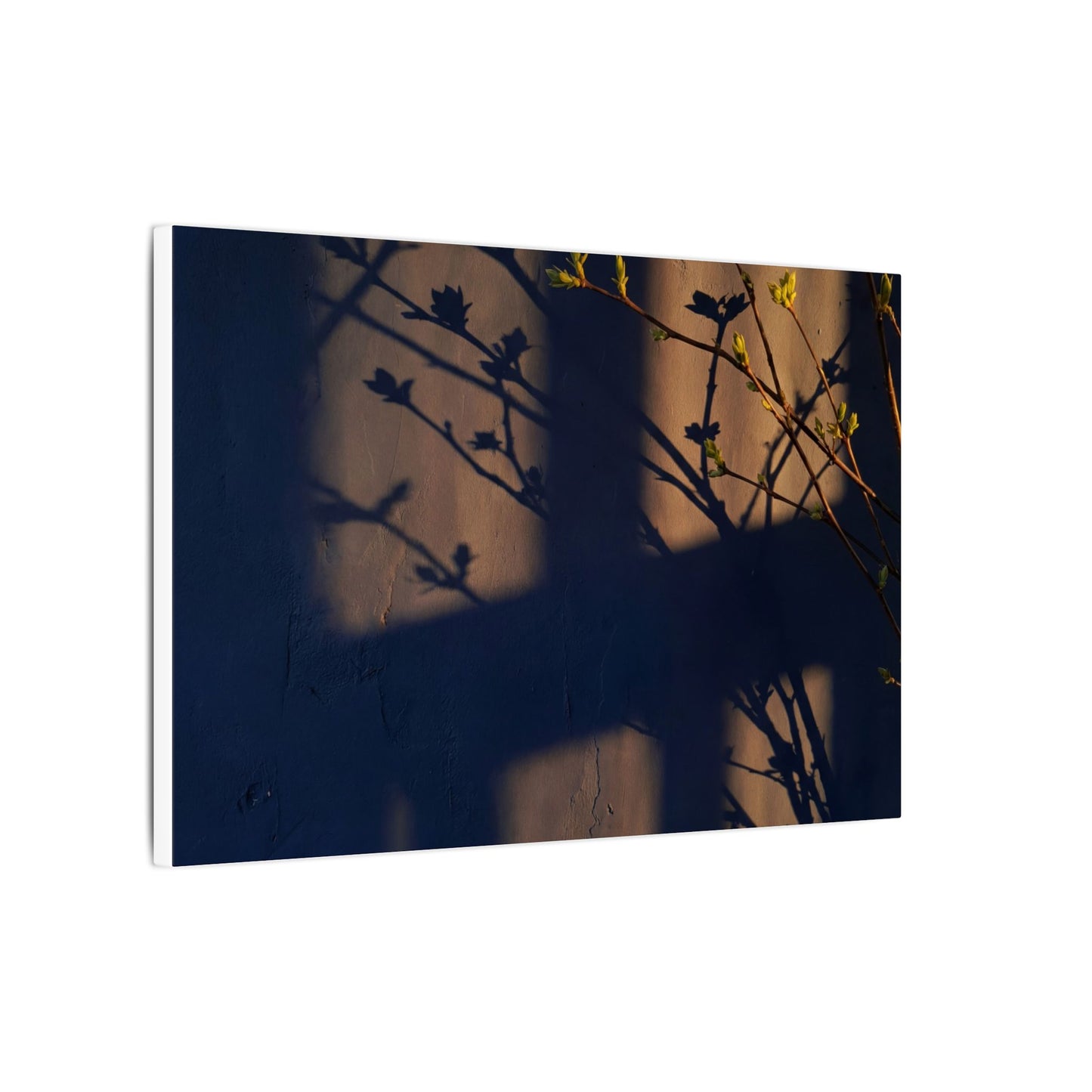 Shadow Play Canvas Art | Spring Dark Japandi Shadow Zen Art