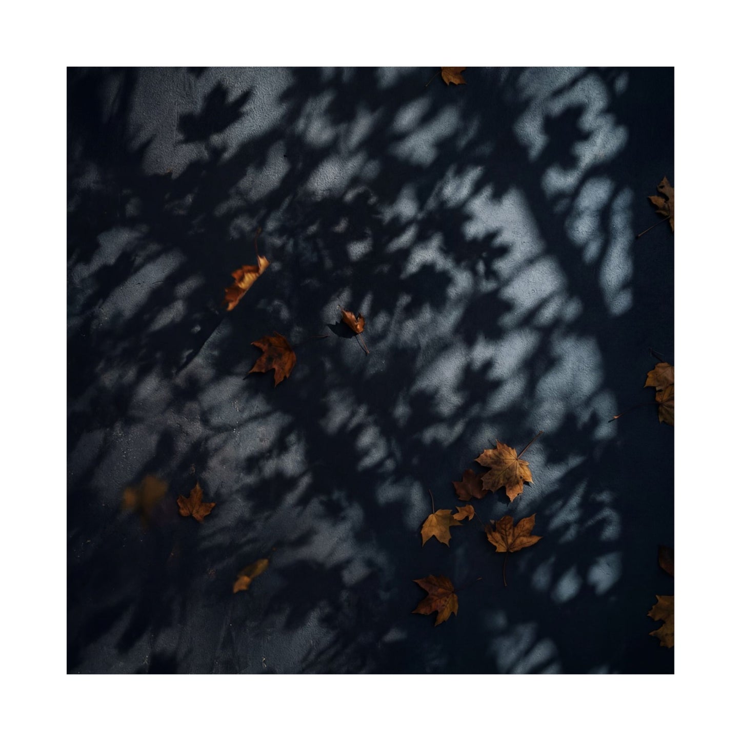 Shadow Play Shadow Zen Wall Art Print | Luxurious Dark Japandi Art