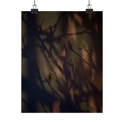 Shadow Play Spring Wall Art Print | Dark Japandi Sophisticated Design