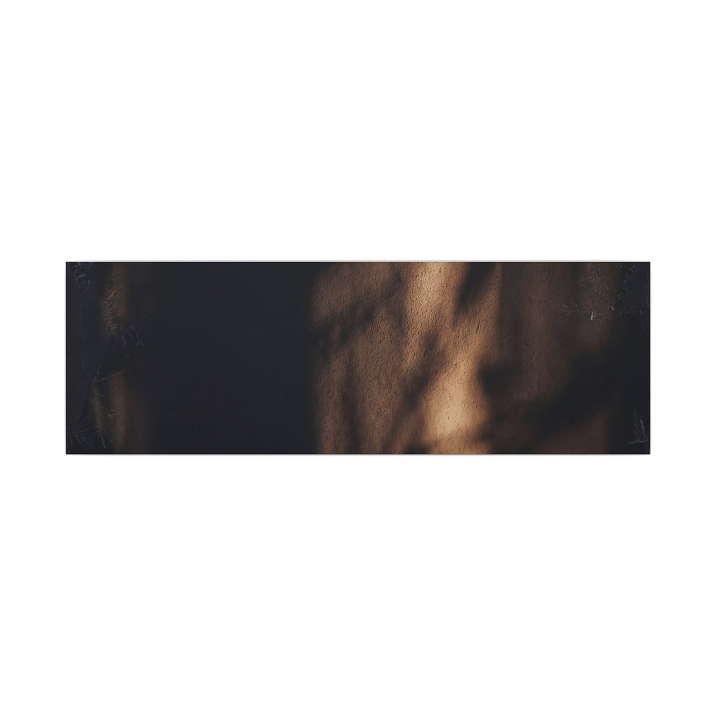 Winter Shadow Play Moody Minimal Canvas Art | Luxurious Decor