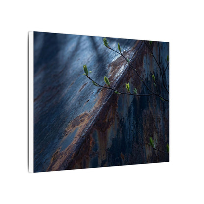Rust Patina Canvas Art | Spring Dark Japandi Shadow Zen Art