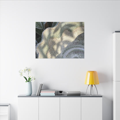 Dappled Ceramic Bowl Canvas Art - Japandi Seijaku