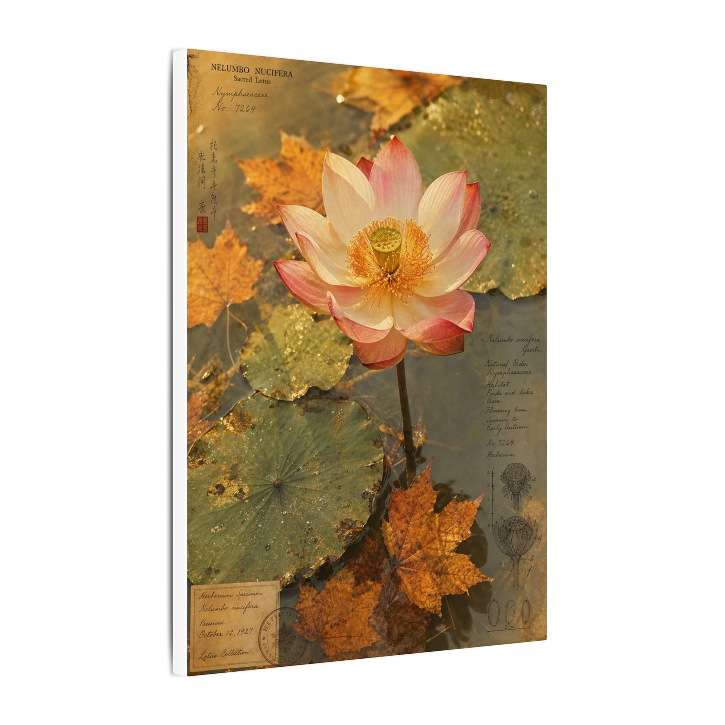 Autumn Lotus Flower Herbarium Canvas Art | Rustic Decor