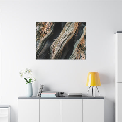 Silk Drape Winter Canvas Art | Japandi Cozy Design
