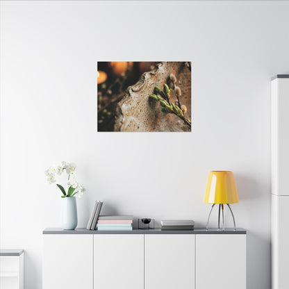 Overcast Ceramic Bowl Canvas Art - Japandi Ma