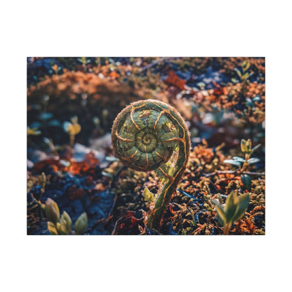 Kintsugi Fern Unfurling in Dappled | Gold Vein Canvas Art