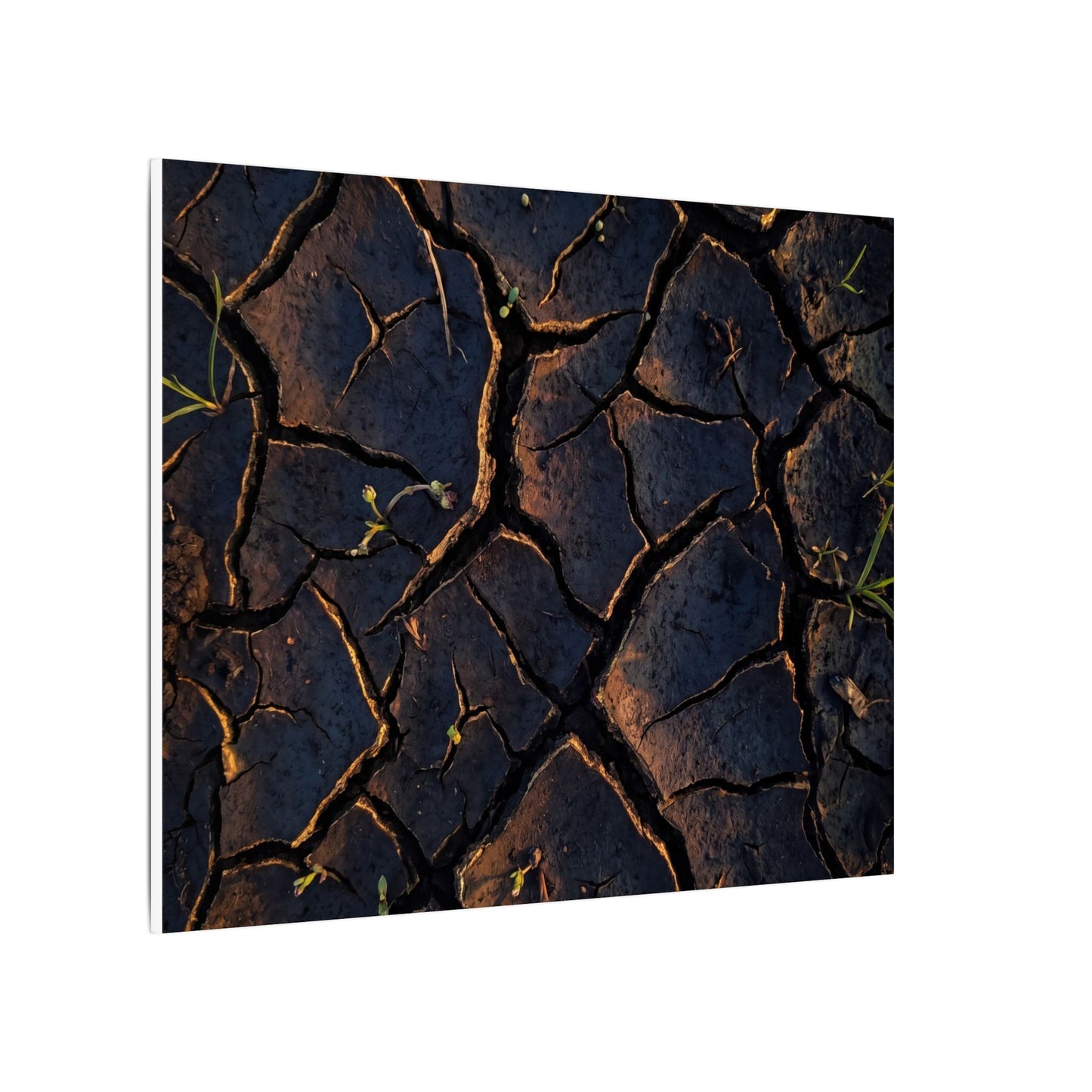 Cracked Earth Moody Minimal Canvas Art | Luxurious Dark Japandi Art