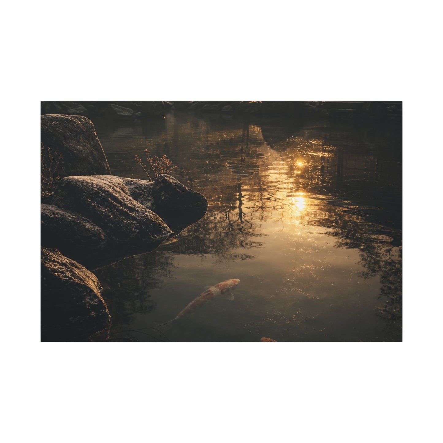 Winter Koi Pond Shadow Zen Canvas Art | Bold Decor
