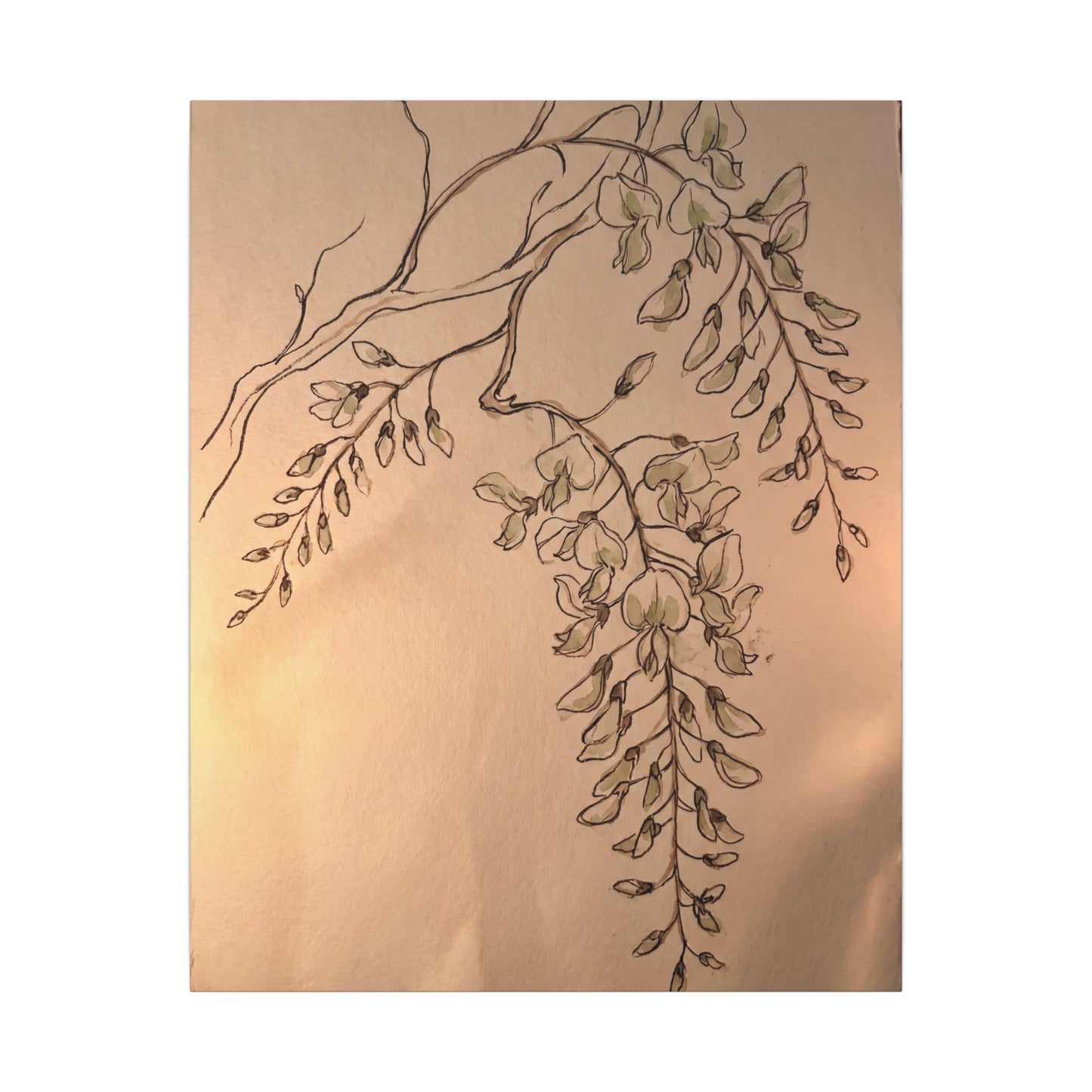 Japandi Wisteria in Candlelight | Minimal Line Canvas Art