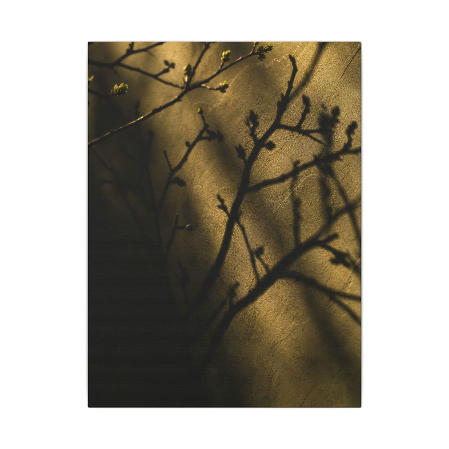 Golden Hour Shadow Play Canvas Art - Dark Japandi Seijaku