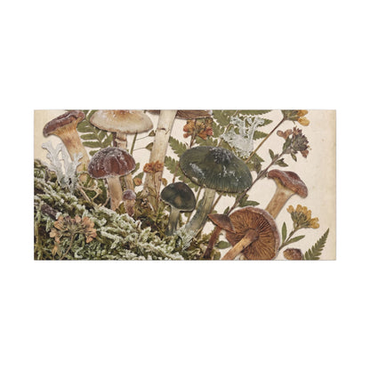 Winter Wild Mushrooms Herbarium Canvas Art | Enchanting Decor