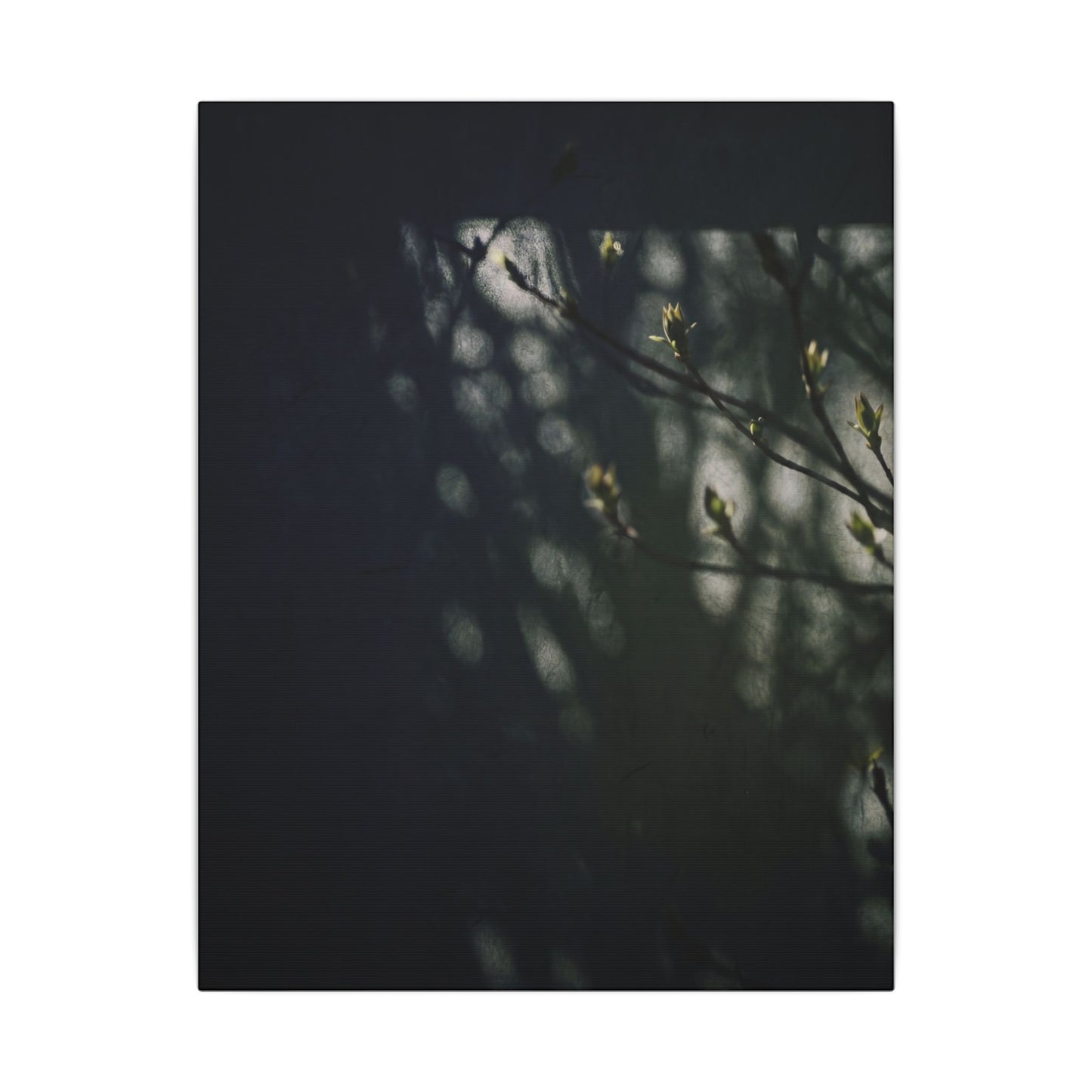 Dark Japandi Shoji Screen in Dappled | Moody Minimal Canvas Art