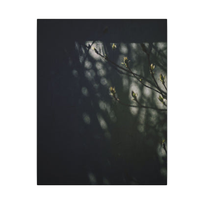 Dark Japandi Shoji Screen in Dappled | Moody Minimal Canvas Art
