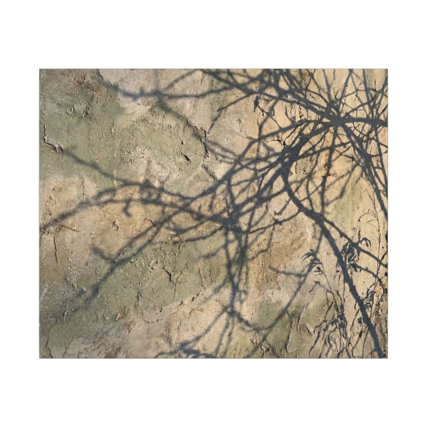 Japandi Shadow Play in Golden Hour | Texture Canvas Art
