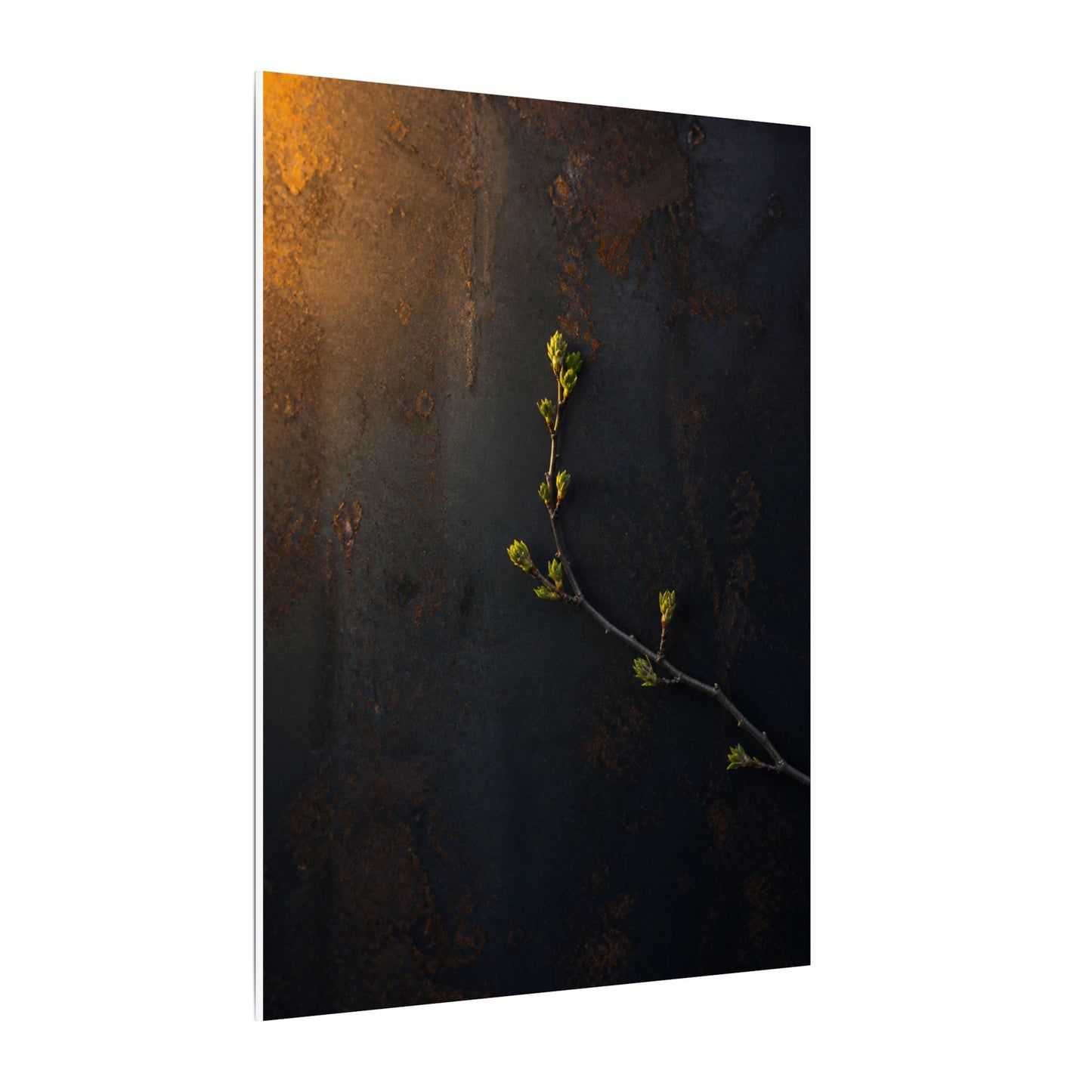 Dark Japandi Rust Patina in Golden Hour | Moody Minimal Canvas Art