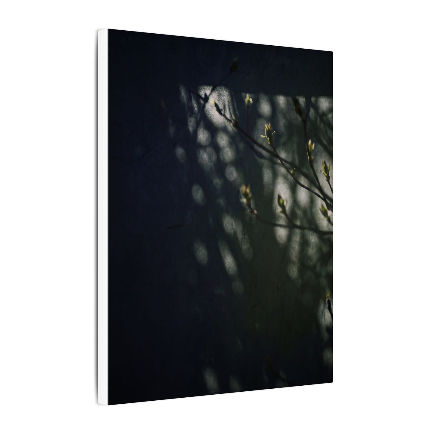 Dark Japandi Shoji Screen in Dappled | Moody Minimal Canvas Art