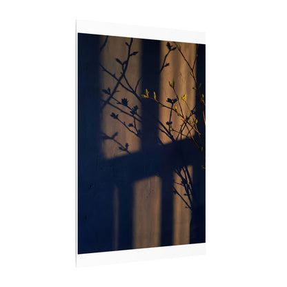 Shadow Play Canvas Art | Spring Dark Japandi Shadow Zen Art