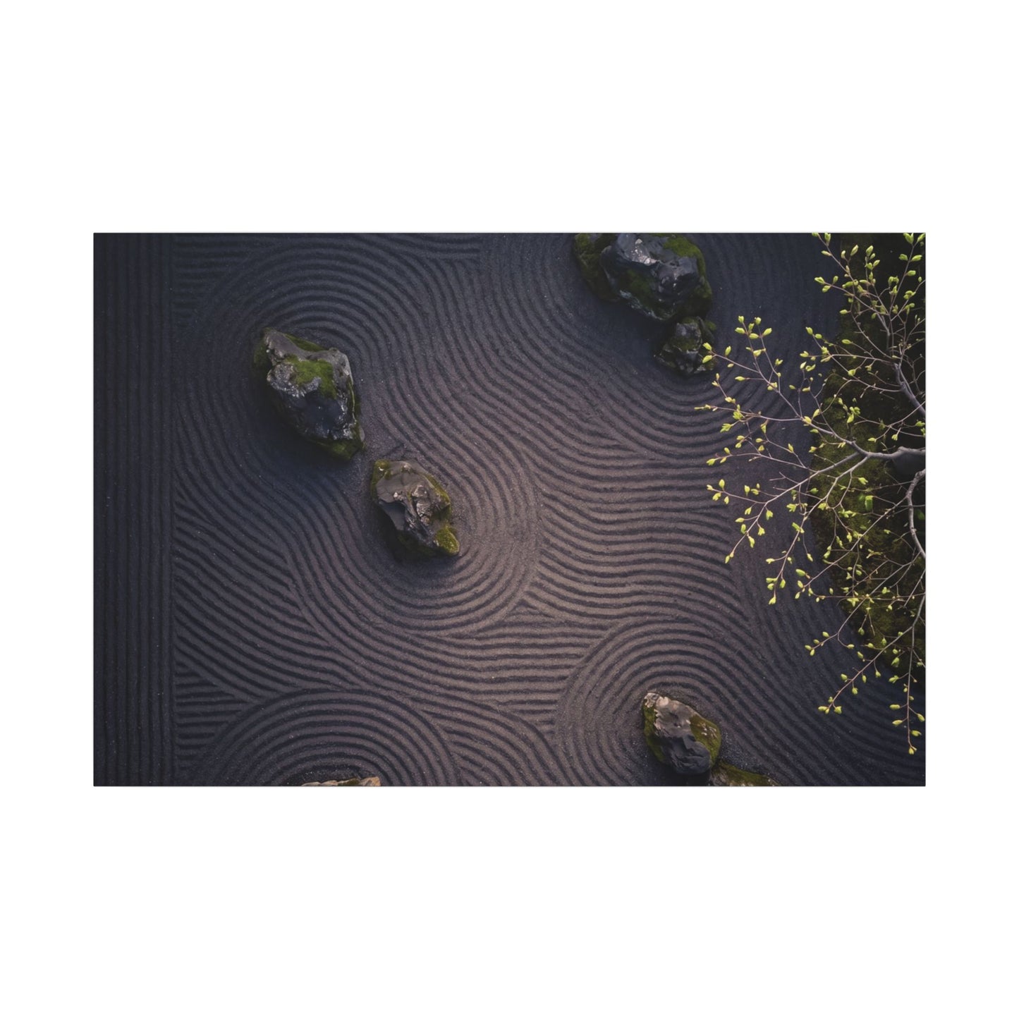 Dark Japandi Rock Garden in Dawn | Shadow Zen Canvas Art