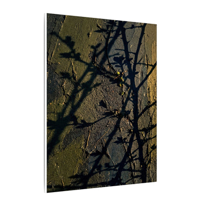 Kanso Shadow Play Canvas Art - Dark Japandi Dark Texture