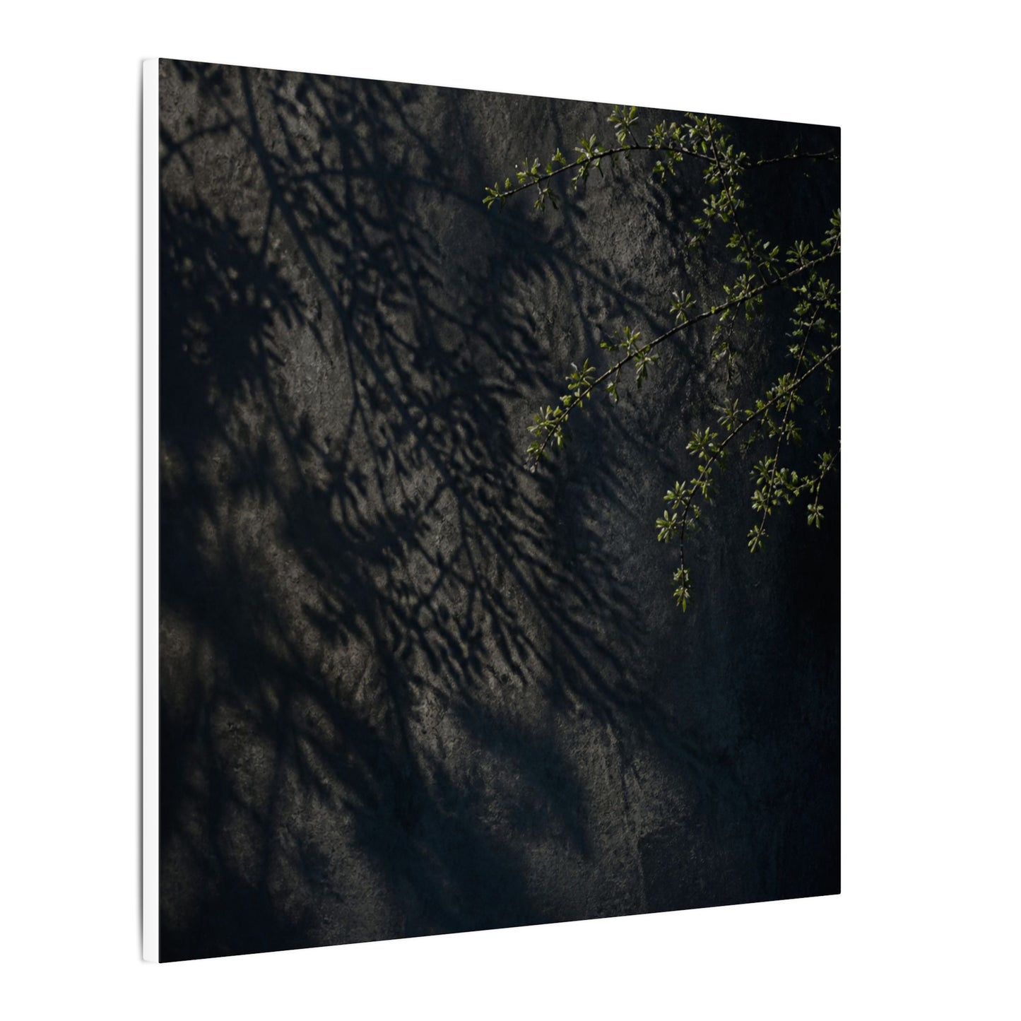 Overcast Shadow Play Canvas Art - Dark Japandi Seijaku