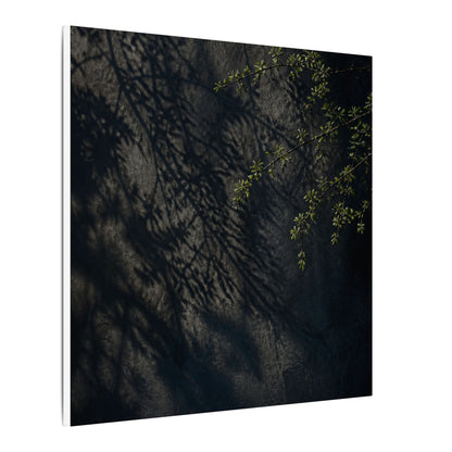 Overcast Shadow Play Canvas Art - Dark Japandi Seijaku