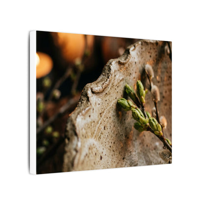 Overcast Ceramic Bowl Canvas Art - Japandi Ma