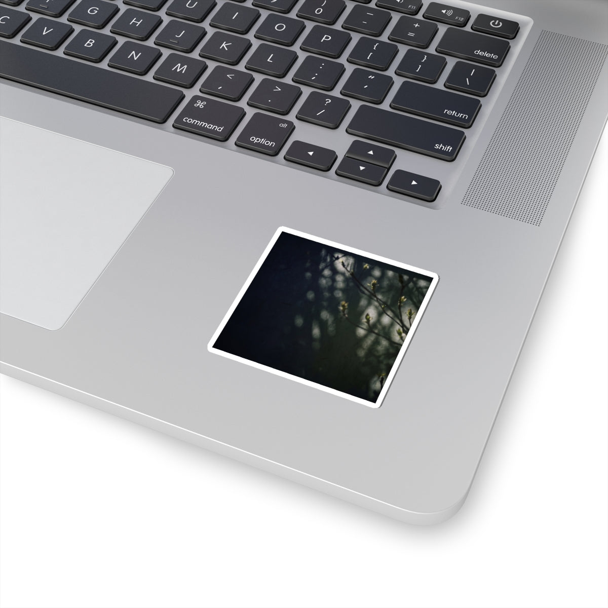 Shoji Screen Sticker | Spring Dark Japandi Moody Minimal Art