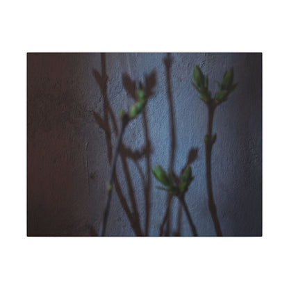 Shadow Play Spring Canvas Art | Dark Japandi Sophisticated Design