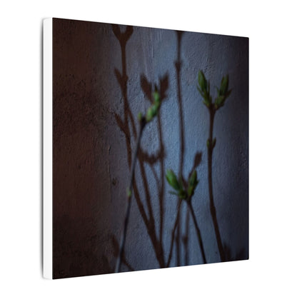 Shadow Play Spring Canvas Art | Dark Japandi Sophisticated Design