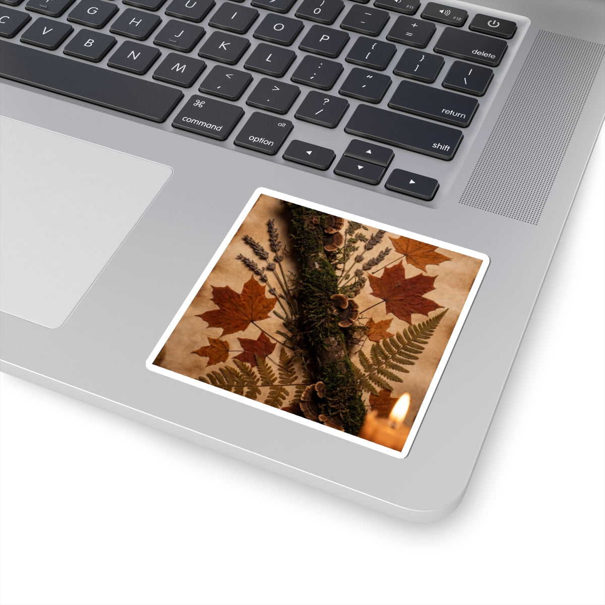 Autumn Moss Close Up Herbarium Sticker | Cozy Decor Art Print