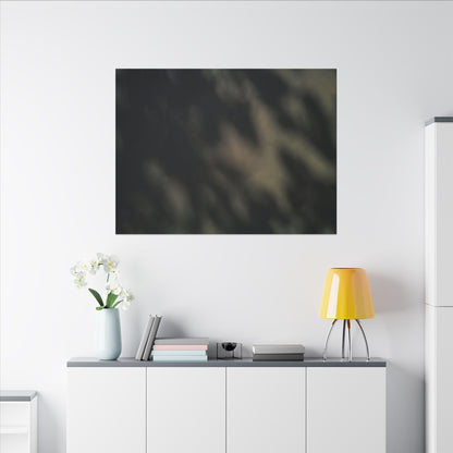 Dappled Shadow Play Canvas Art - Dark Japandi Ma