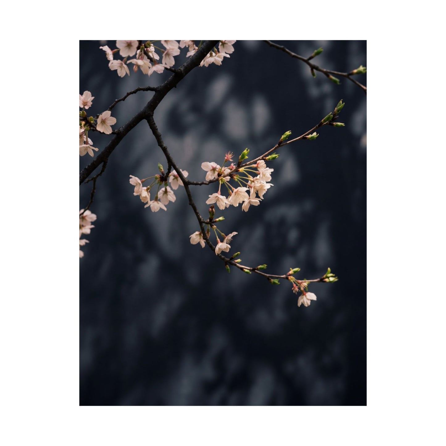 Dappled Cherry Blossom Wall Art Print - Dark Japandi Ma