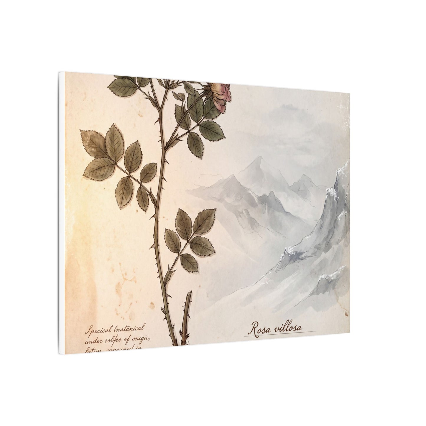 Winter Mountain Mist Herbarium Canvas Art | Earthy Decor