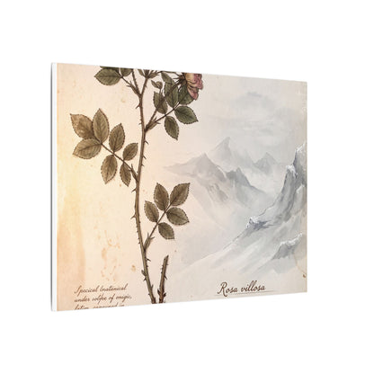 Winter Mountain Mist Herbarium Canvas Art | Earthy Decor