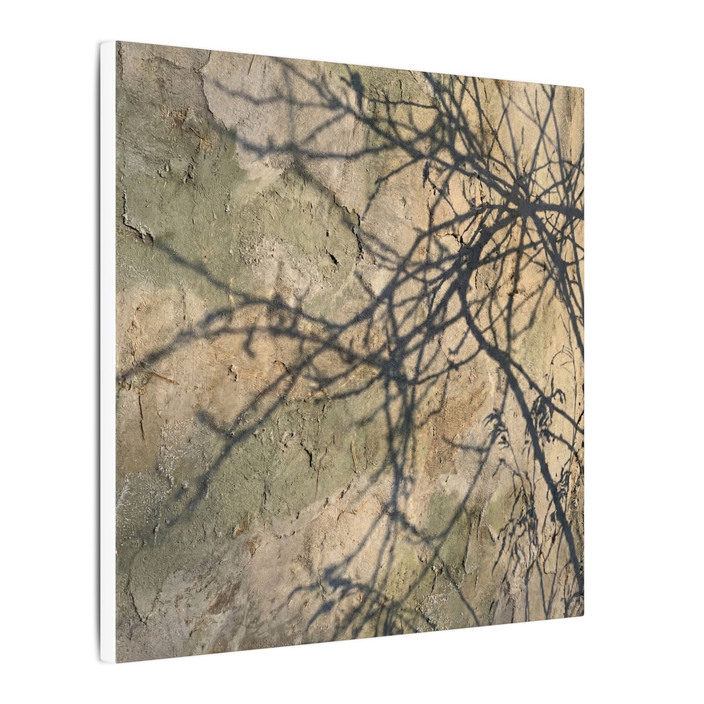 Japandi Shadow Play in Golden Hour | Texture Canvas Art