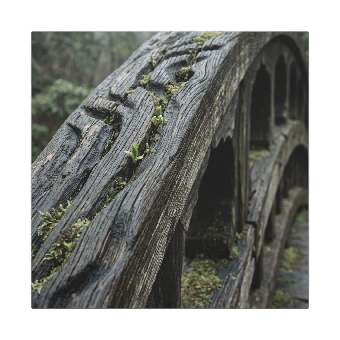 Overcast Wooden Bridge Canvas Art - Japandi Kanso