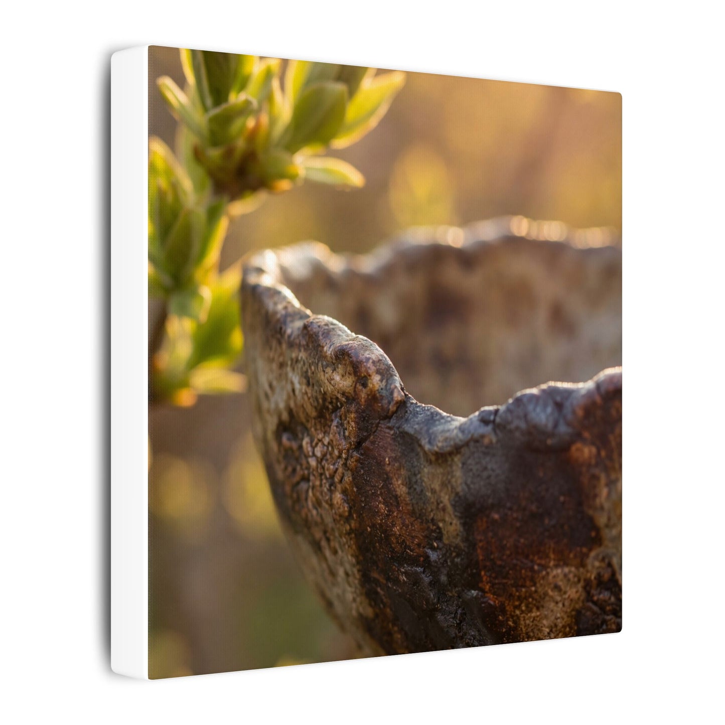 Golden Hour Ceramic Bowl Canvas Art - Dark Japandi Ma