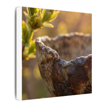 Golden Hour Ceramic Bowl Canvas Art - Dark Japandi Ma