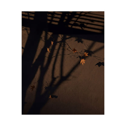 Autumn Shadow Play Shadow Zen Wall Art Print | Sophisticated Decor