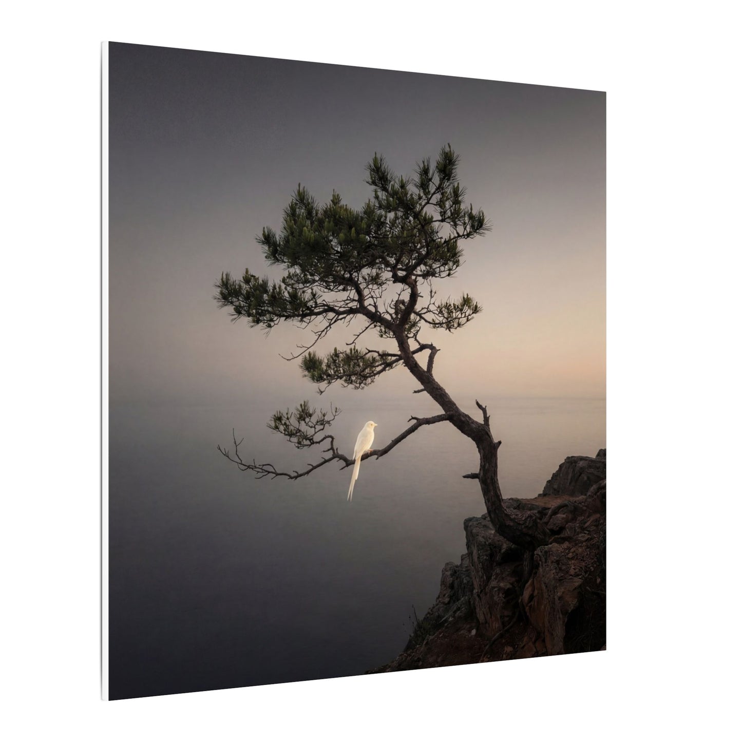 Dawn Pine Tree Canvas Art - Dark Japandi Datsuzoku