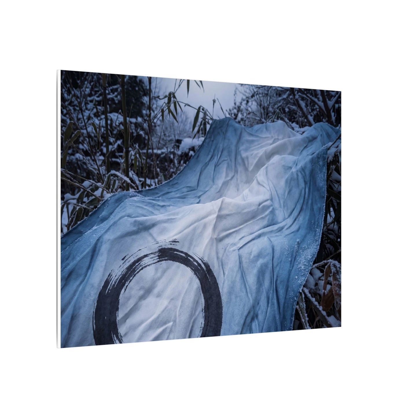Moonlight Silk Drape Canvas Art - Zen Datsuzoku