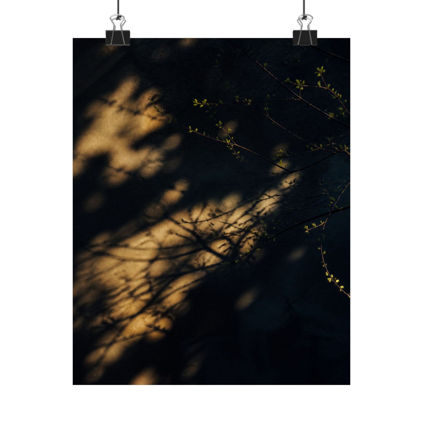 Shadow Play Spring Wall Art Print | Dark Japandi Bold Design